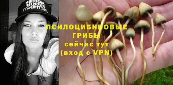соль курить ск Абаза